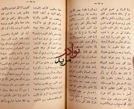 الازهار النادية من اشعار البادية ج11