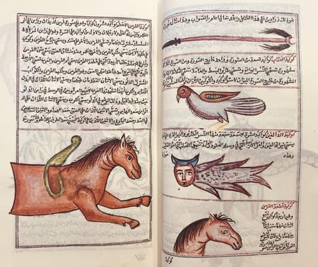 396--صورة مخطوط عجائب المخلوقات وغرائب الموجودات /القزويني