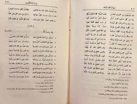 21085-ديوان الملك الامجد بهرام شاه الايوبي /غريب احمد
