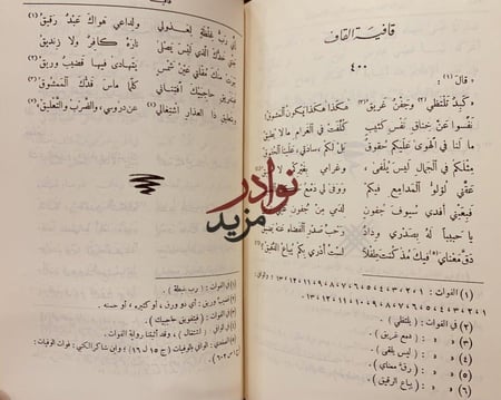 ديوان الصاحب شرف الدين الانصاري/عمر موسى