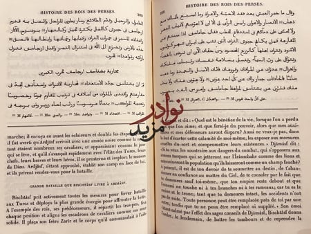 غرر اخبار ملوك الفرس وسيرهم حجم كبير هامش/الثعالبي