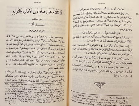 410-سمط اللالي في شرح امالي القالي 2/1  ابي عبيد الاونبي