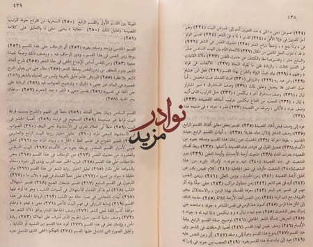 نمط صعب ونمط مخيف/محمود شاكر