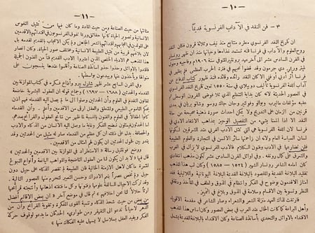 20592-الشهاب الراصد/محمد لطفي جمعة