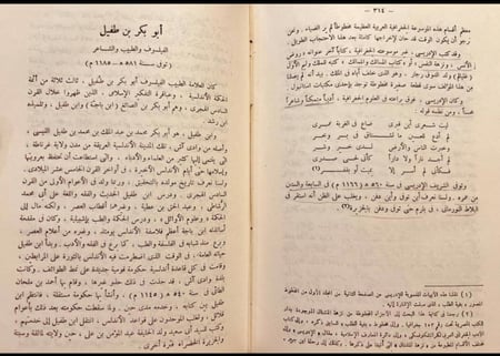 20654-تراجم اسلامية شرقية واندلسية / محمد عنان