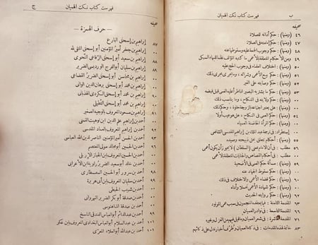 19660-نكت الهميان في نكت العميان /صلاح الدين الصفدي