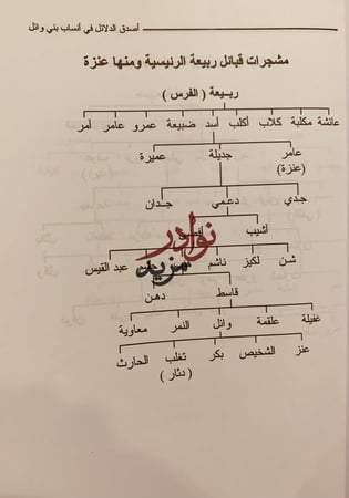 اصدق الدلائل في انساب بني وائل قبائل عنزة تاريخها وانسابها/عبدالله العنزي