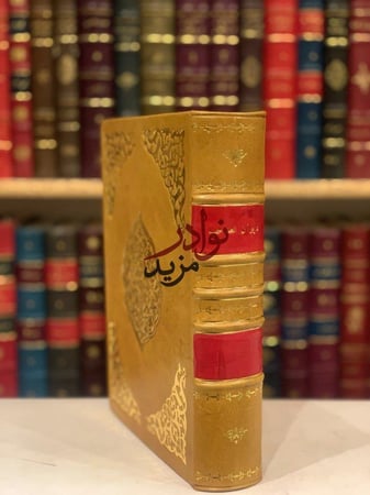 ديوان الصاحب شرف الدين الانصاري/عمر موسى