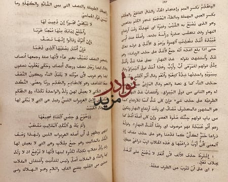 شرح بانت سعاد /ابن هشام الانصاري