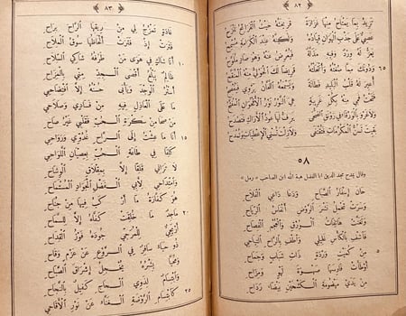 6502-ديوان محمد بن عبيدالله سبط بن التعاويذي/مرجليوث