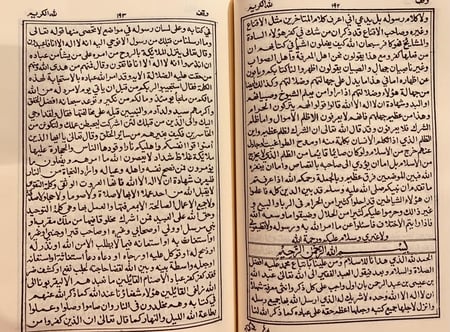 385- روضة الافكار والافهام 2/1 او تاريخ نجد مجلد واحد/ابن غنام