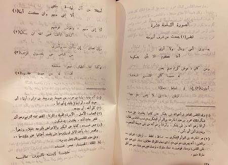 9345-شخصيات عربية من شعراء الخليج العربي المتلمس الضبعي-محمد خفاجي
