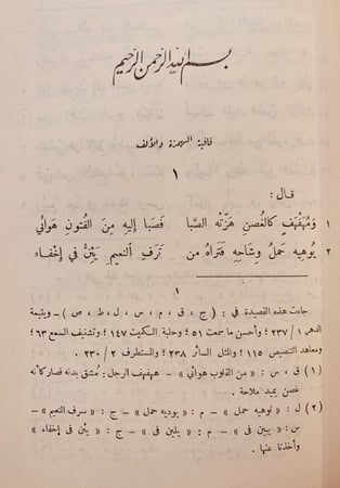 1033-ديوان الواواء الدمشقي/سامي الدهان
