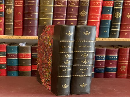 15927-حسن الصناعة في علم الزراعة2/1  /احمد ندى