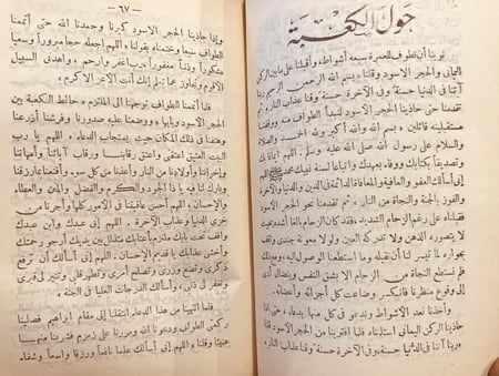 3455-في الارض المقدسة بين مصر والحجاز/ابراهيم حبيب