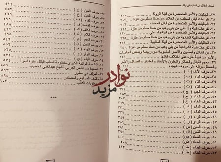 اصدق الدلائل في انساب بني وائل قبائل عنزة تاريخها وانسابها/عبدالله العنزي