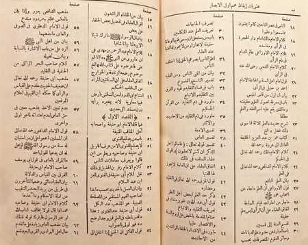 18870-ايقاظ همم اولي الأبصار للاقتداء بسيد المهاجرين والانصار/صالح الفلاني