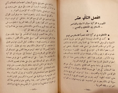 11138-العرب والترك في الصراع بين الشرق والغرب/محمد بيهم