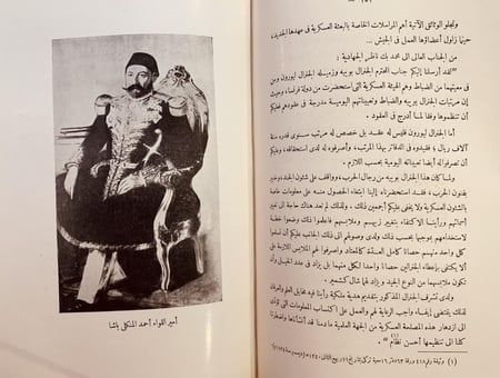 18736-ذكرى البطل الفاتح ابراهيم باشا