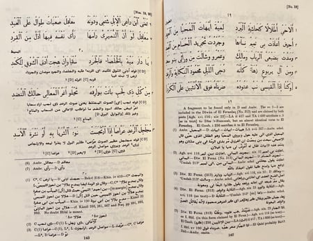 404-ديوان شعر ذي الرمة غيلان العدوي/كارليل مكارتني