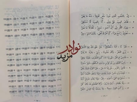 نمط صعب ونمط مخيف/محمود شاكر
