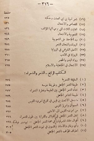 20592-الشهاب الراصد/محمد لطفي جمعة