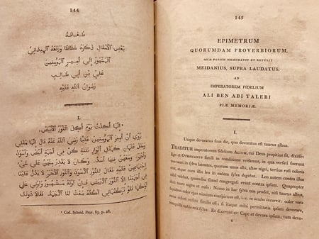 N-نثر اللال في الحكم والامثال او مجموع امثال وحكم الامام علي/كرنيلوس فان نينون