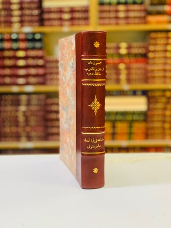 176-خمسون عاما في جزيرة العرب / مشاهداتي في الحجاز / حافظ وهبة