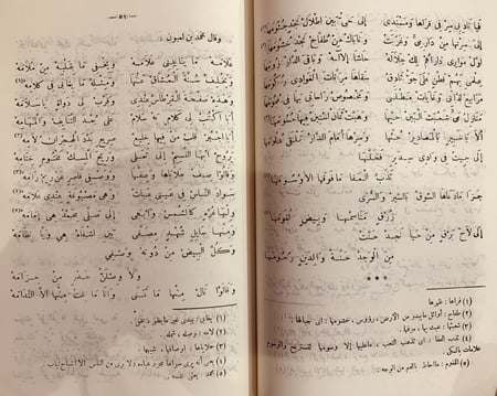 9340- الازهار النادية من اشعار البادية ج 10