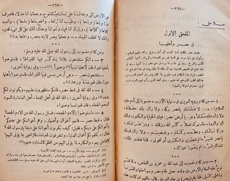 8922- القومية المصرية الاسلامية مرحلة التكون/ابراهيم جمعة