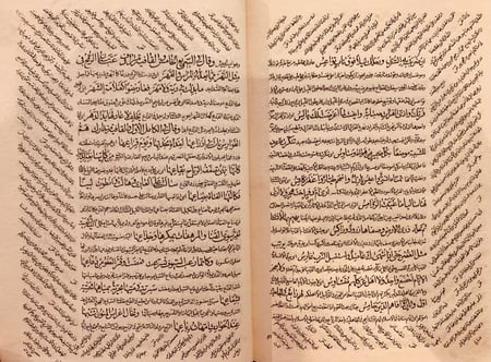 8808- التنوير على سقط الزند /ابي العلاء المعري