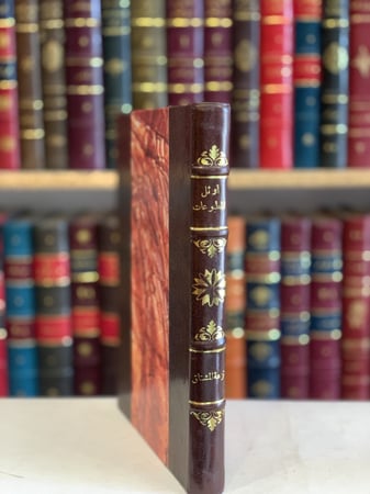 372/13869-صورة مخطوط نزهة المشتاق في ذكر الامصار والاقطار والبلدان والجزر والمداين والافاق