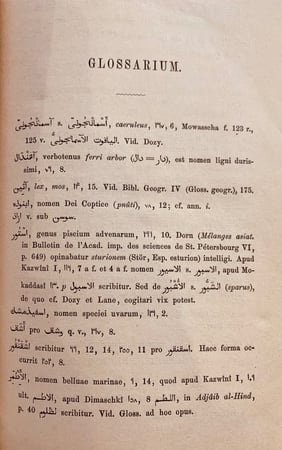 N45-مختصر كتاب البلدان /الهمذاني