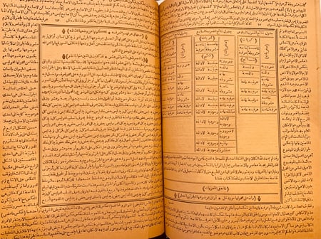 9819-سوانح التوجهات على نظم الموجهات-عبدالله وافي