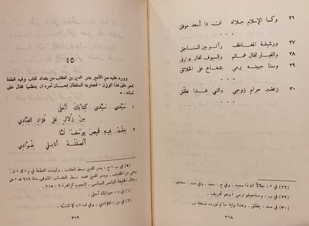 367/13574-ديوان ابن النبيه المصري/كمال الدين ابي الحسن