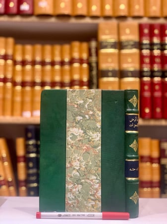 9390/20897-في ارض المعجزات/محمد حته