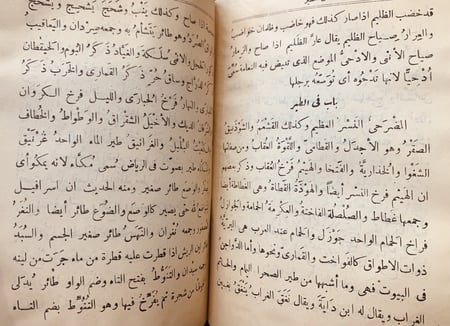 11092- كفاية المتحفظ ونهاية المتلفظ في اللغة العربية/ابن الاجدابي