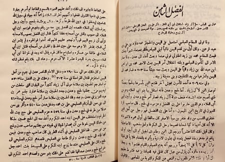 13514-هدية الزمن في اخبار ملوك الحج وعدن/تاريخ اليمن بهجة الزمن في تاريخ اليمن/صورة