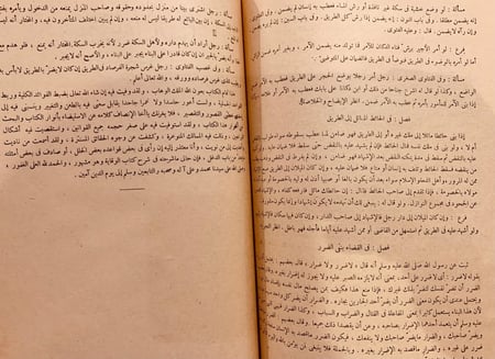 5885- معين الحكام فيما يتردد بين الخصمين من الاحكام/لسان الحكام في معرفة الاحكام/ابن الشحنة/علاء الدين الطرابلسي