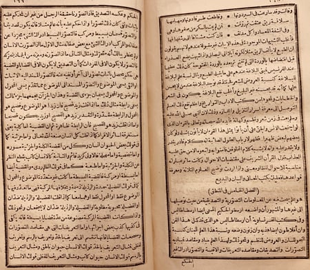 N-تخليص الابريز الى تلخيص باريز او الديوان النفيس بايوان باريس/رفاعة الطهطاوي