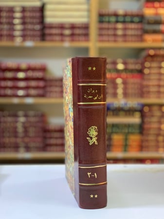 211-ديوان ابن ابي حصينة