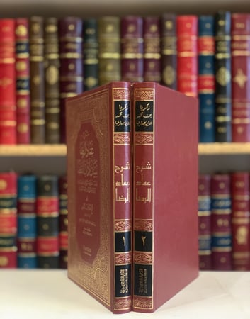 12857-شرح عماد الرضا ببيان اداب القضا 2/1 / زكريا الانصاري