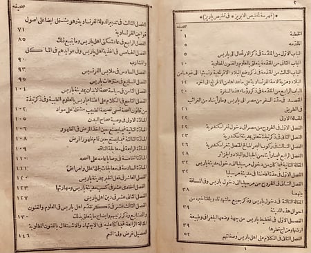 N-تخليص الابريز الى تلخيص باريز او الديوان النفيس بايوان باريس/رفاعة الطهطاوي