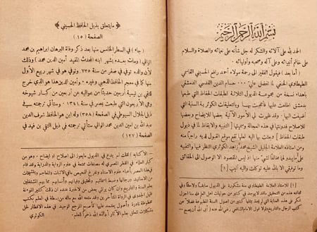 10066/691-التنبيه والايقاظ لما في ذيول تذكرة الحفاظ/رافع الطهطاوي