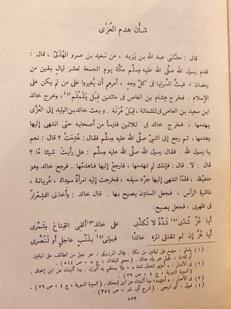 11049-المغازي  تجليد هامش 3/1-الواقدي