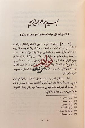 الاشباه والنظائر في النحو 4/1