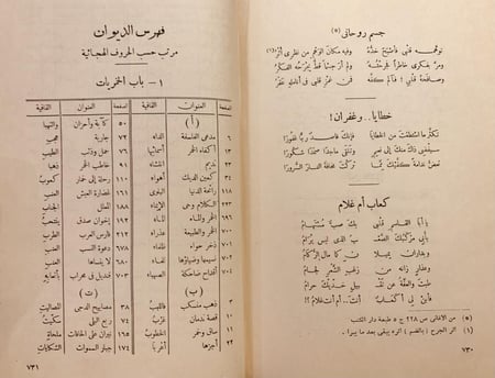 14598-ديوان ابي نواس الحسن بن هاني/احمد الغزالي