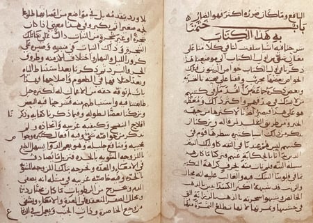 4956-الفلاحة النبطية الجزء السابع/ابن وحشية صورة مخطوط
