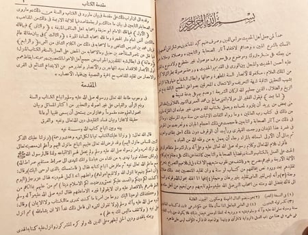 18870-ايقاظ همم اولي الأبصار للاقتداء بسيد المهاجرين والانصار/صالح الفلاني