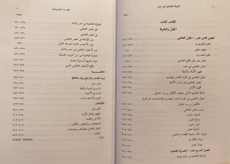 17851-الدولة الفاطمية في مصر تفسير جديد /ايمن فؤاد سيد